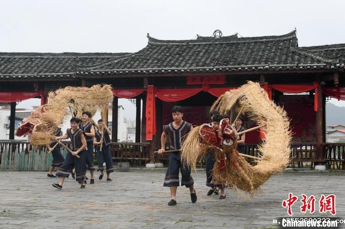 图为仫佬族民众在舞草龙。 廖光福 摄 图为仫佬族民众在舞草龙。 廖光福 摄