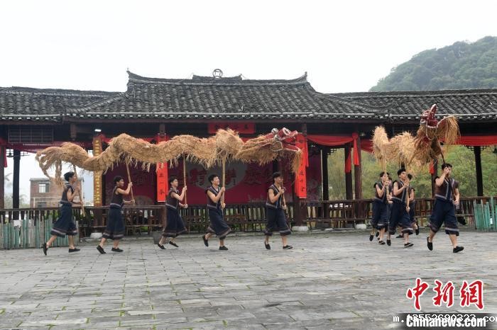 图为舞草龙现场。 廖光福 摄 图为舞草龙现场。 廖光福 摄