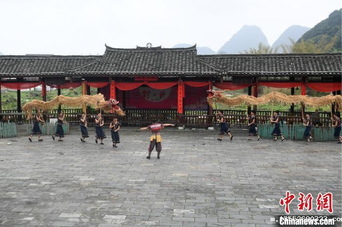 舞草龙是罗城仫佬族民众的一种民间传统体育活动。 廖光福 摄 舞草龙是罗城仫佬族民众的一种民间传统体育活动。 廖光福 摄