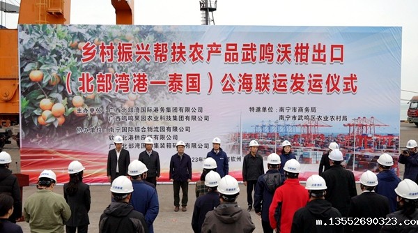 乡村振兴帮扶农产品广西武鸣沃柑出口(北部湾港-泰国)公海联运发运仪式现场。黄琨摄