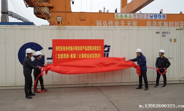 北部湾港集团、广西鸣鸣果园集团、南宁市商务局、武鸣区农业农村局领导共同为武鸣沃柑出口集装厢揭牌。黄琨摄