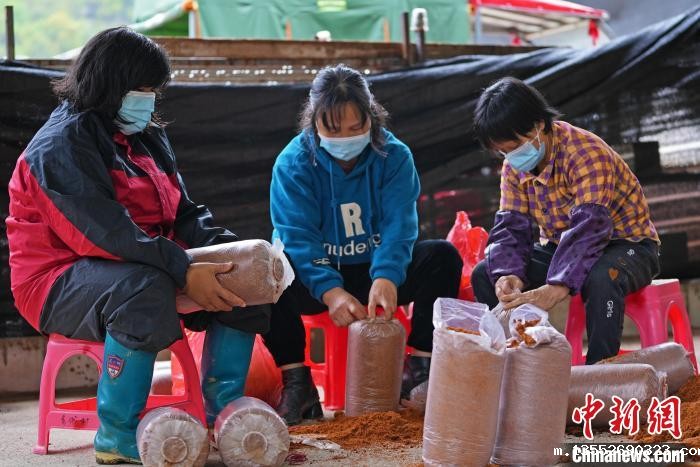 图为工人正在制作菌棒。 黄少将 摄 图为工人正在制作菌棒。 黄少将 摄