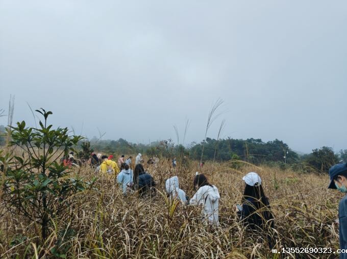 1704440796172928.jpg 2.jpg